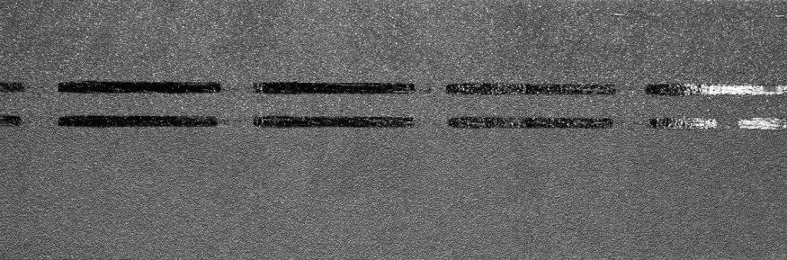 Коньково-карнизная черепица Docke, Premium, Черника купить в Анапе